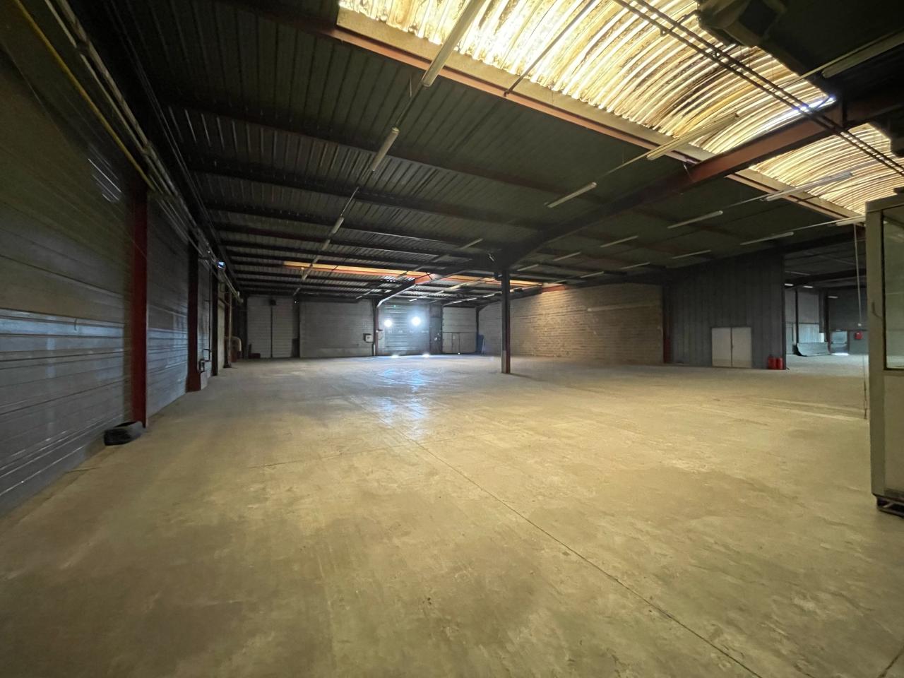 Local d'activité Erstein 1690m² Location local d'activité Erstein Bas-Rhin OLACT2313692 6